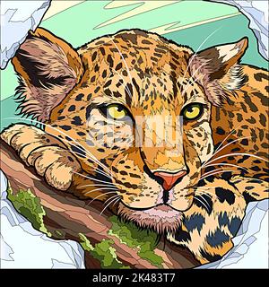 ritratto di un leopardo nel selvaggio Foto Stock