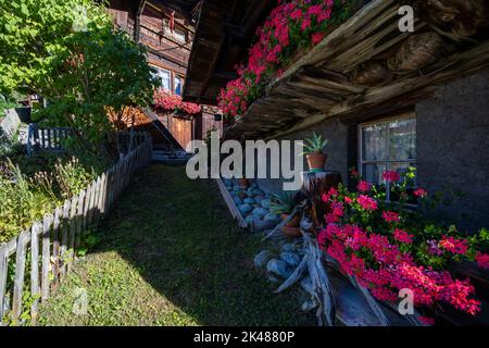 Nel villaggio di Mürren vicino a Lauterbrunnen, Svizzera, Alpi Foto Stock