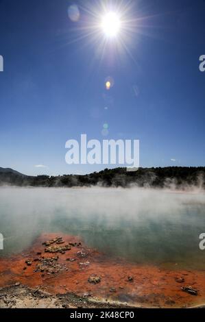 Il vapore si alza sopra il vivace colore arancione antimonio che si forma intorno al bordo della piscina Champagne. Si trova presso il Wai-o-Tapu Thermal Wonderlan Foto Stock