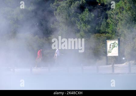 I visitatori camminano nel vapore che si sposta alla piscina Champagne presso il Wai-o-Tapu Thermal Wonderland vicino alla città sul lago Rotorua di Rotorua, nella baia di PLE Foto Stock