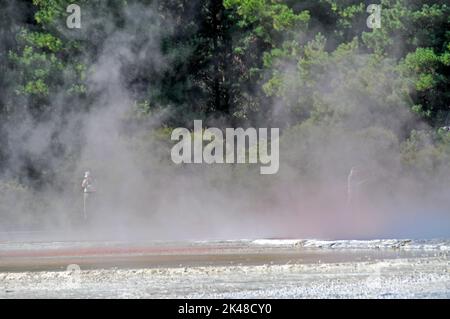 I visitatori camminano nel vapore che si sposta alla piscina Champagne presso il Wai-o-Tapu Thermal Wonderland vicino alla città sul lago Rotorua di Rotorua, nella baia di PLE Foto Stock