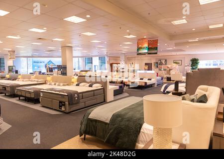 Posti letto in vendita in un negozio Domayne Harvey Norman a Belrose Sydney, NSW, Australia Foto Stock