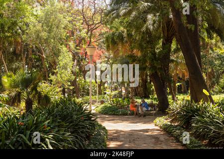 Parco cittadino con giardini botanici, Paseo del Parque a Málaga in Spagna. Foto Stock