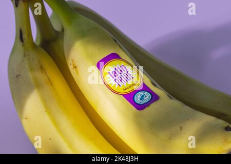 Le banane del Pride latino del Nicaragua etichettate con il sigillo certificato dell'Alleanza delle foreste pluviali. Foto Stock