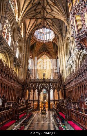 Coro a navata superiore nella Cattedrale di Ely a Ely, Cambridgeshire, Inghilterra, Regno Unito Foto Stock