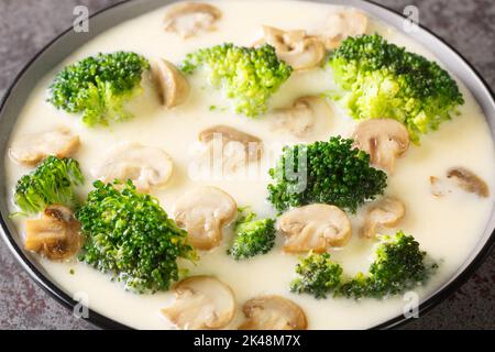 Zuppa di formaggio fatta in casa con broccoli e funghi champignon primo piano in una ciotola sul tavolo. Orizzontale Foto Stock