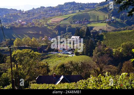 Austria, paesaggio con vigneti e pensione di nome Maxltoni nel villaggio di montagna Kitzeck im Sausal situato sulla strada del vino Sausal Foto Stock