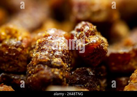 Primo piano estremo di pane di ape. Messa a fuoco selettiva. Profondità di campo poco profonda Foto Stock