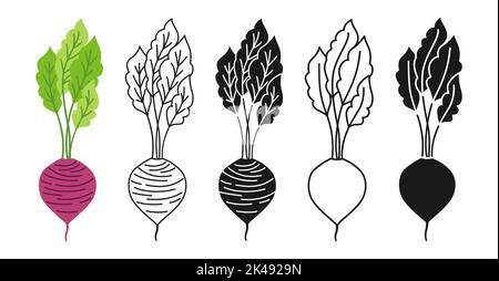 Barbabietola con set di icone lineari per cartoni animati a stelo, stile doodle, silhouette incisa. Simbolo verdura di barbabietola fresca, biologico sano alimentare design. Cucina vegetariana agricola, menu vettoriale del mercato agricolo Illustrazione Vettoriale