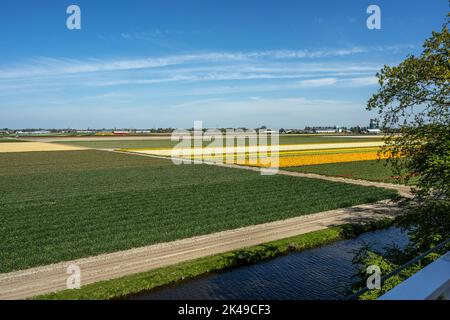 Campi di lampadine vicino ai giardini Keukenhof Foto Stock