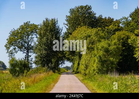 Strada che conduce ad un arco naturale formato da alberi Foto Stock