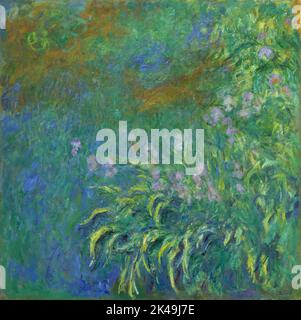 Iridi. Claude Monet. 1914/17. Foto Stock