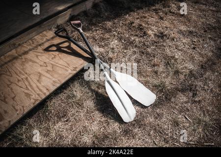 coppia di remi pagaie al suolo appoggiate sul gradino di legno accanto all'erba alla luce del sole Foto Stock