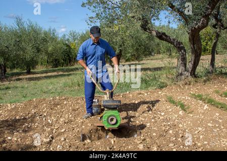 Contadino con un timone mentre coltiva una terra per la coltivazione dell'orto. Preparazione di suolo fertile Foto Stock