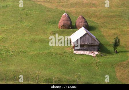 Ciocanu, Arges County, Romania, circa 1995. Fienile in legno con catapasta in grande pascolo di montagna. Foto Stock