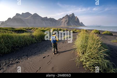 Turista su una duna di sabbia, spiaggia nera con sabbia vulcanica, spiaggia di sabbia, dune con erba, punta di Stokksnes, catena montuosa di Klatindur, Austurland Foto Stock