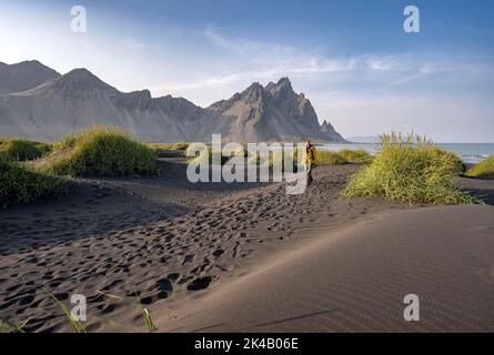 Turista su una duna di sabbia, spiaggia nera con sabbia vulcanica, spiaggia di sabbia, dune con erba, punta di Stokksnes, catena montuosa di Klatindur, Austurland Foto Stock