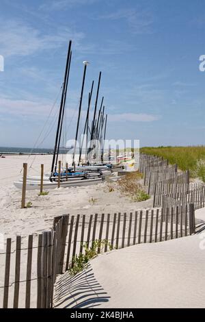 Una linea di catamarani legati su una spiaggia di sabbia Foto Stock