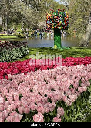 The beautiful view of a park with beautiful tulips in Amsterdam Foto Stock