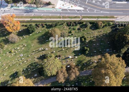 Vista aerea del paesaggio stradale lungo Ocean Parkway a Brooklyn, New York. Foto Stock