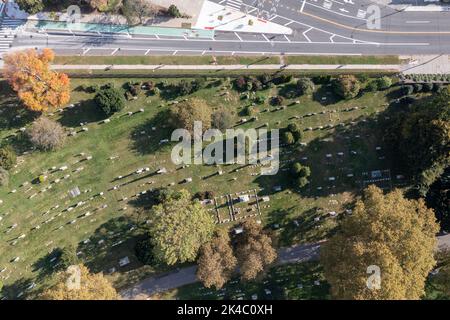 Vista aerea del paesaggio stradale lungo Ocean Parkway a Brooklyn, New York. Foto Stock