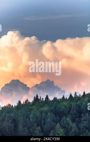 Uno scatto verticale di un ipnotico cielo nuvoloso tramonto dietro una lussureggiante foresta verde Foto Stock