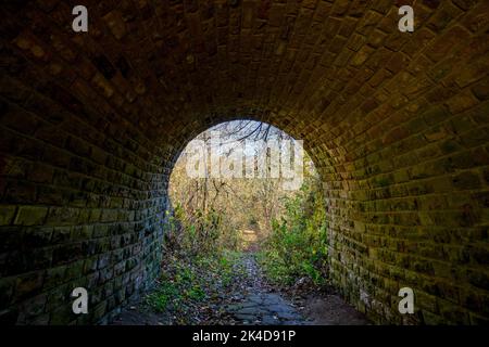 Mistero piccolo tunnel di pietra nella foresta autunnale Foto Stock
