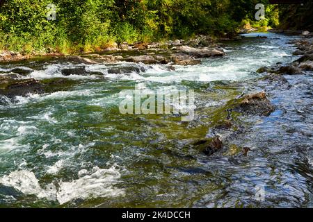 Acque bianche corrono sulle rocce in una giornata autunnale al Parco Provinciale di Skutz Falls Foto Stock