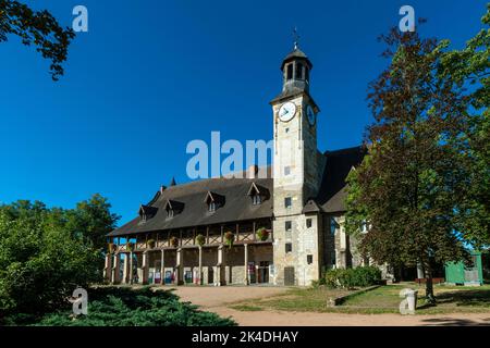 Montlucon. Il castello dei Duchi di Borbone è un antico castello fortificato del XIIIᵉ secolo. Dipartimento Allier. Auvergne Rodano Alpi. Francia Foto Stock