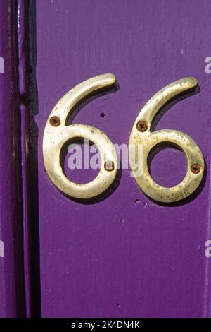 Pannello verniciato viola con ottone numero 66 avvitato. Primo piano fotografato in formato verticale Foto Stock