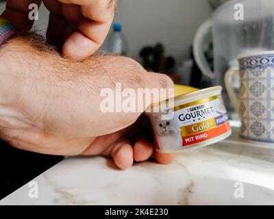 Parigi, Francia - 13 settembre 2022: POV maschio mano che tiene la lattina metallica con Purina Gourmet Gold con manzo - cucina moderna sfondo preparazione per alimentare l'animale domestico gatto Foto Stock