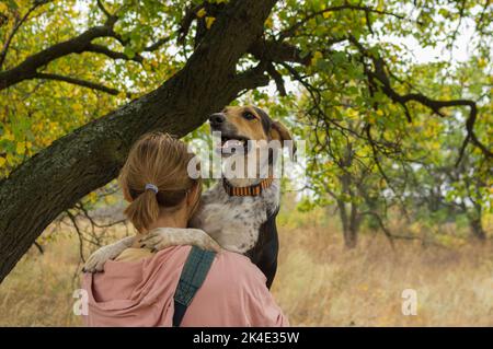 Ritratto di cane femmina di razza mista seduta su mani padrone vicino al ramo di albicocca e di essere felice Foto Stock