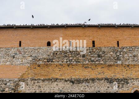 Lida, Bielorussia. Aprile 2022. Piccioni sulla parete del castello di Leeds Foto Stock