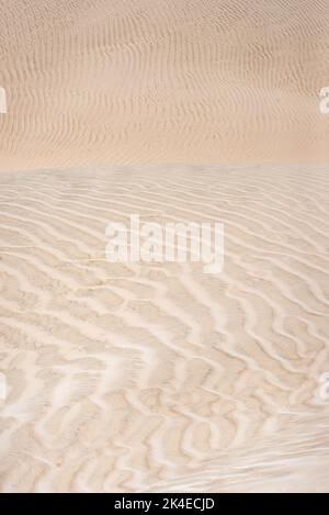 Accecanti dune bianche di zucchero vicino a al-Khaluf, Oman Foto Stock