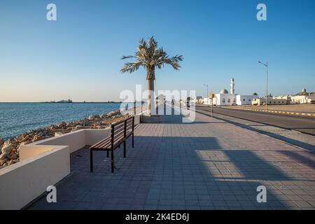 Palma di plastica sulla Corniche di Masirah, Isola di Masirah, Oman Foto Stock