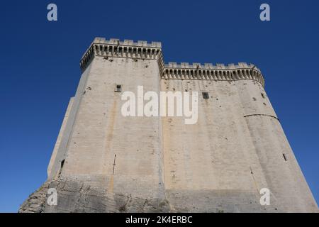 Tarascon Castello, sulle rive del Rodano nel dipartimento Bouches-du-Rhône in Francia Foto Stock