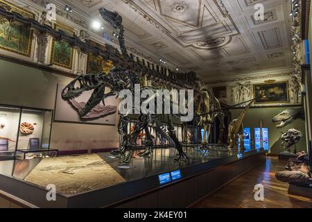 VIENNA, AUSTRIA - 13 SETTEMBRE 2022: Scheletri di dinosauro esposti al Museo di Storia Naturale di Vienna. Foto Stock