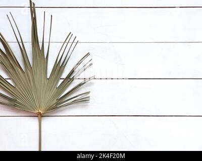 Ventola con foglie di palma essiccate in legno naturale su bordo di legno bianco texture di sfondo con spazio di copia. Vista dall'alto, piatto. Foto Stock