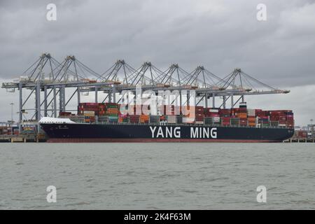 Container Ship YM WELLSPRING trasferendo i container al porto DP World London Gateway sul Tamigi Foto Stock