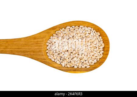 Vista dall'alto o gruppo piatto di orzo perlato secco in cucchiaio di legno isolato su sfondo bianco con percorso di ritaglio. Foto Stock