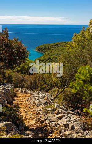 Sentiero escursionistico orlato da mura di pietra a Losinj isola in Croazia Foto Stock