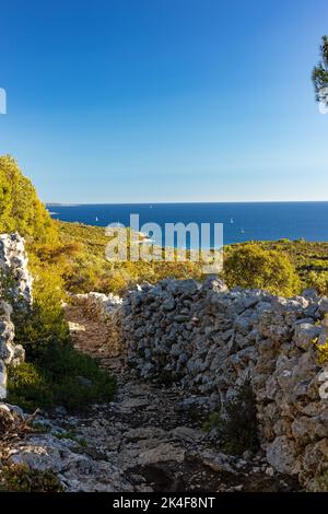 Sentiero escursionistico orlato da mura di pietra a Losinj isola in Croazia Foto Stock