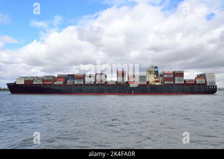 Container Ship SEALAND WASHINGTON si dirige verso l'estuario del Tamigi lungo il tragitto verso il porto DP World London Gateway Foto Stock