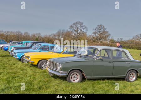 Una fila di auto classiche dalle strade britanniche parcheggiate su erba in un incontro di proprietari di auto classiche Foto Stock