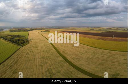 Vista aerea del paesaggio del campo di grano nella soleggiata serata estiva. Foto Stock