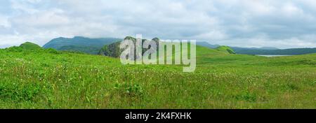 Splendido paesaggio dell'isola di Kunashir con colline erbose e scogliere basaltiche, focus su forbe vicine Foto Stock