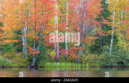 Una splendida scena autunnale sulla diramazione orientale del fiume Chippewa nel Wisconsin settentrionale. Foto Stock