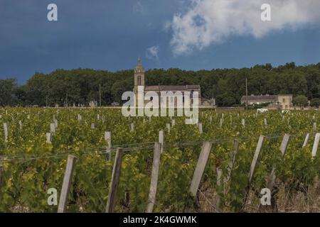 Chiesa nei vigneti della haute medoc dietro file di viti su pali in una giornata limpida Foto Stock