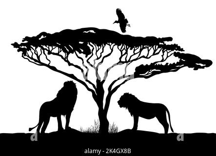Silhouette di leoni sotto un albero. Illustrazione vettoriale Illustrazione Vettoriale