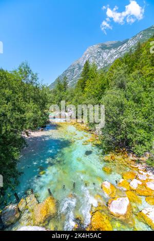 Acque cristalline del fiume Soca presso la piccola gola di Soca Foto Stock